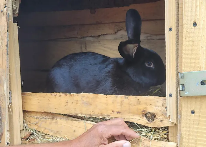 Pokoje Gościnne Smrekowa 27A
